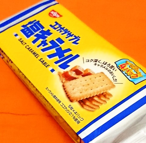 日清シスコ「ココナッツサブレ 塩キャラメル」