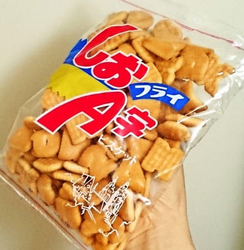 坂栄養食品「しおＡ字フライビスケット」