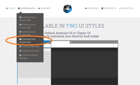 Ｃｙｂｅｒｆｏｘ Ｐｏｒｔａｂｌｅ
