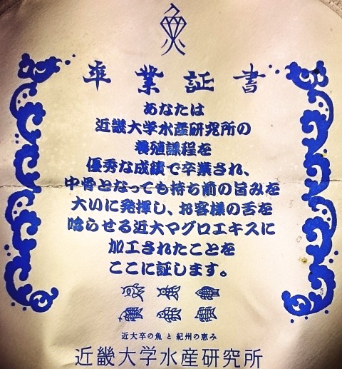 エースコック「近畿大学水産研究所×つるとんたん監修 スーパーカップ 魚だしカレーうどん」