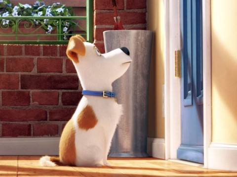 映画『ペット』