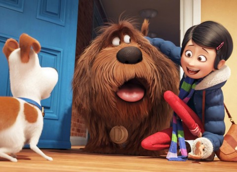 映画『ペット』