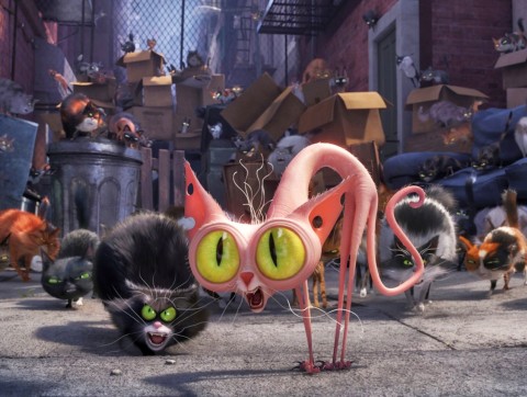 映画『ペット』