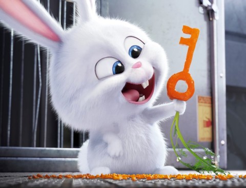 映画『ペット』