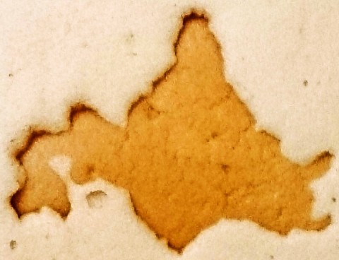 神戸屋「北海道生キャラメル蒸しパン」