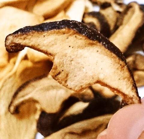 ＵＨＡ味覚糖「茸のまんま しいたけ(味わいポン酢味)」