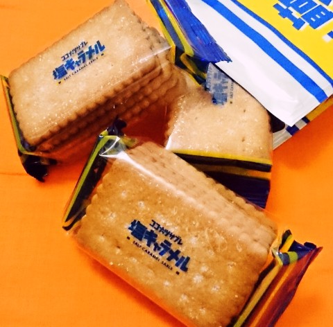 日清シスコ「ココナッツサブレ 塩キャラメル」