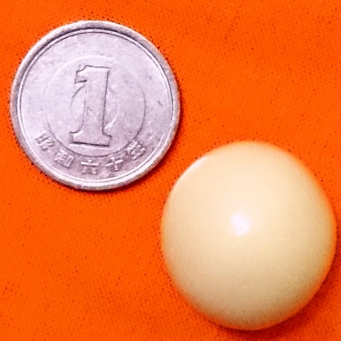 森永「大玉チョコボール＜ピーナッツ＞ソルティホワイト」